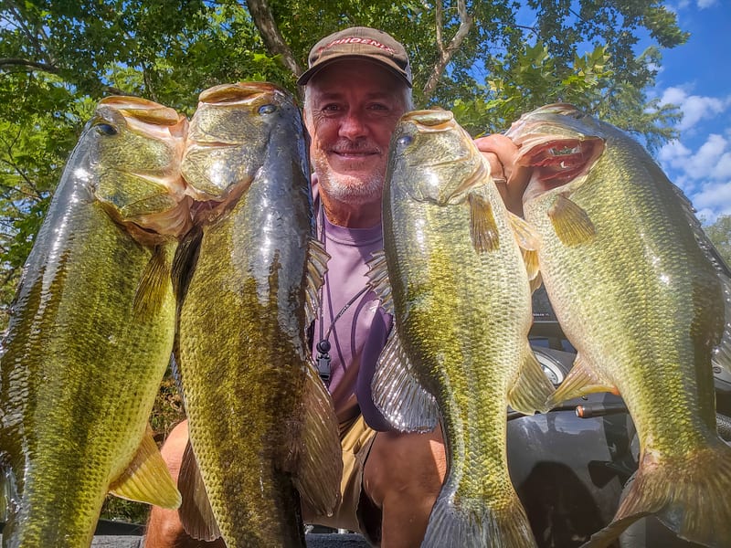 Four chunky Lake Austin largemouth bass totaling 15 pounds, caught flipping creature baits