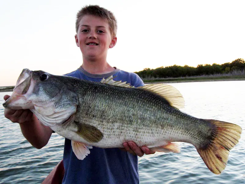 Largemouth bass caught on Choke Canyon Reservoir