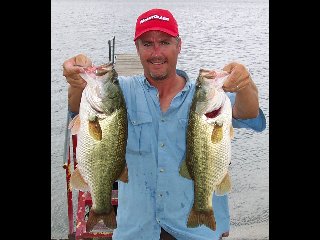 Summer largemouth bass from Choke Canyon Reservoir, July 2005
