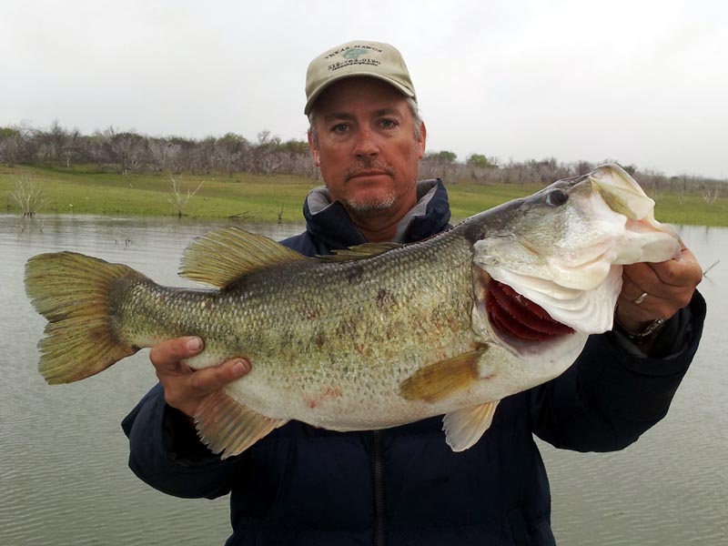 Texas Hawgs - Lakes for your Austin bass fishing guide trip