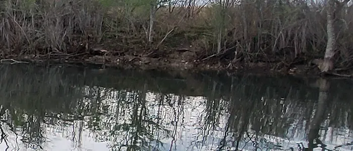 Decker Lake Decker Lake (Walter E. Long) bass fishing with Texas Hawgs