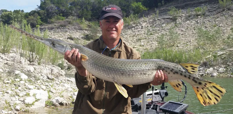 Bryan Cotter holding the Lake Travis lake record longnose gar, 20.08 pounds, March 31 2015
