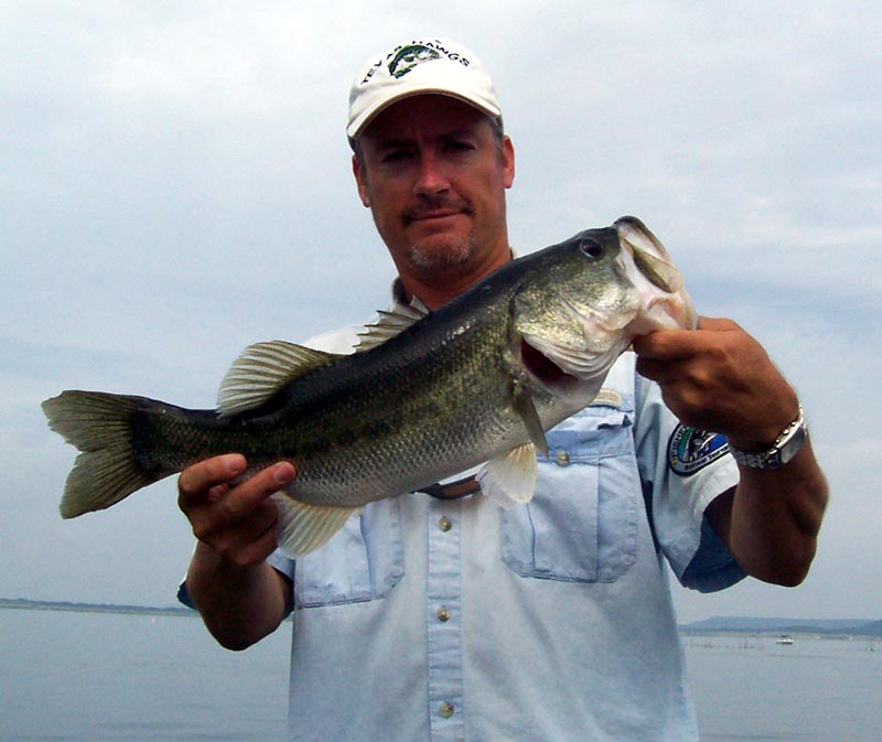 Largemouth bass from Stillhouse Hollow, July 2006