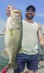 Really nice Lake Travis 8-11 pounder